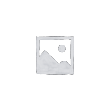 Flash Memory